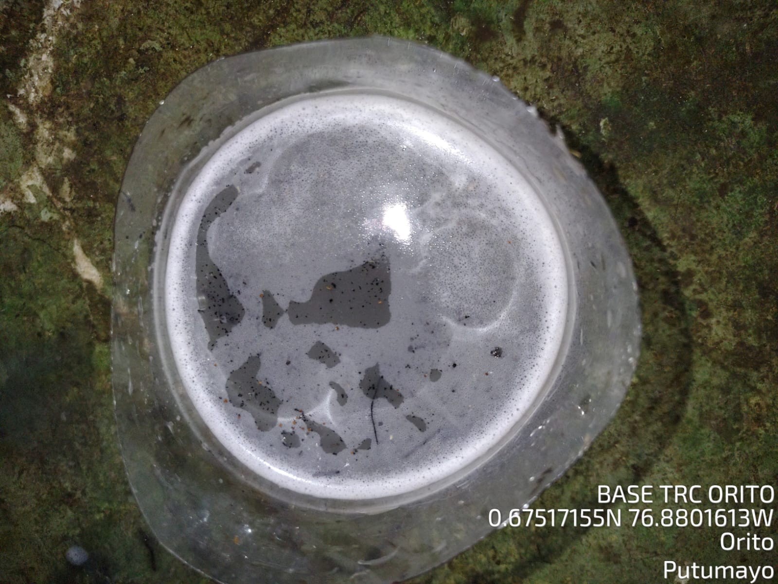 Crudo disuelto en agua — fase media del tratamiento acelerado.