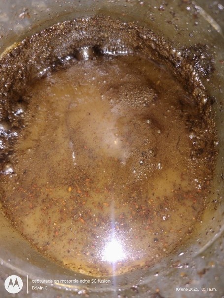 Día uno — mineralización de hidrocarburo en agua.