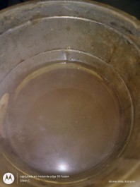 Día 11 — finalización satisfactoria de mineralización de crudo envejecido sobre agua. Regeneración de suelo y equilibrio biológico.
