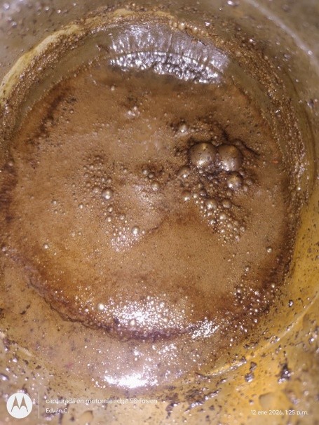 Día tres — en proceso de mineralización de hidrocarburo.