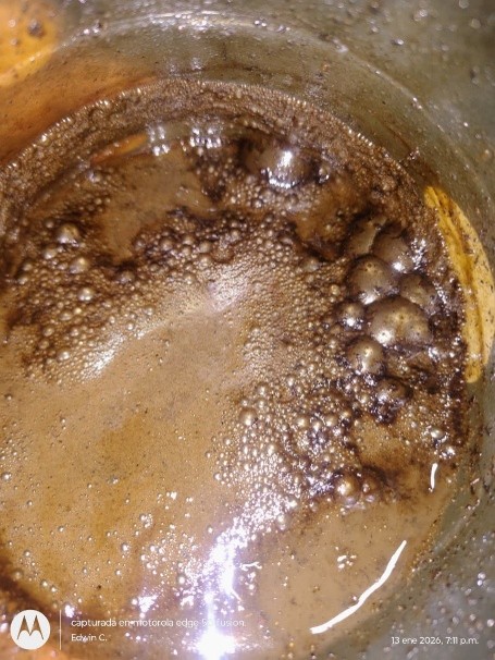 Día 4 — actividad bacteriana en proceso.