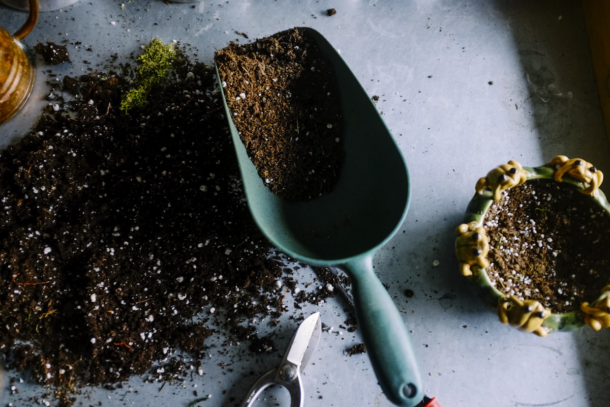 Residuos Orgánicos y Economía Circular