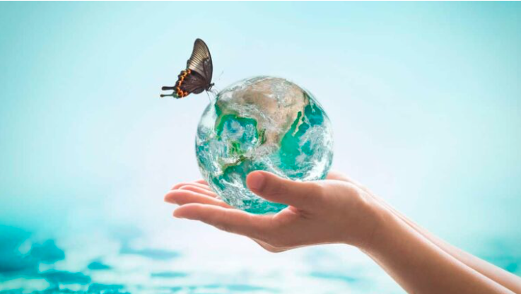 Cuidado del planeta — Laboratorio MicroHéroes
