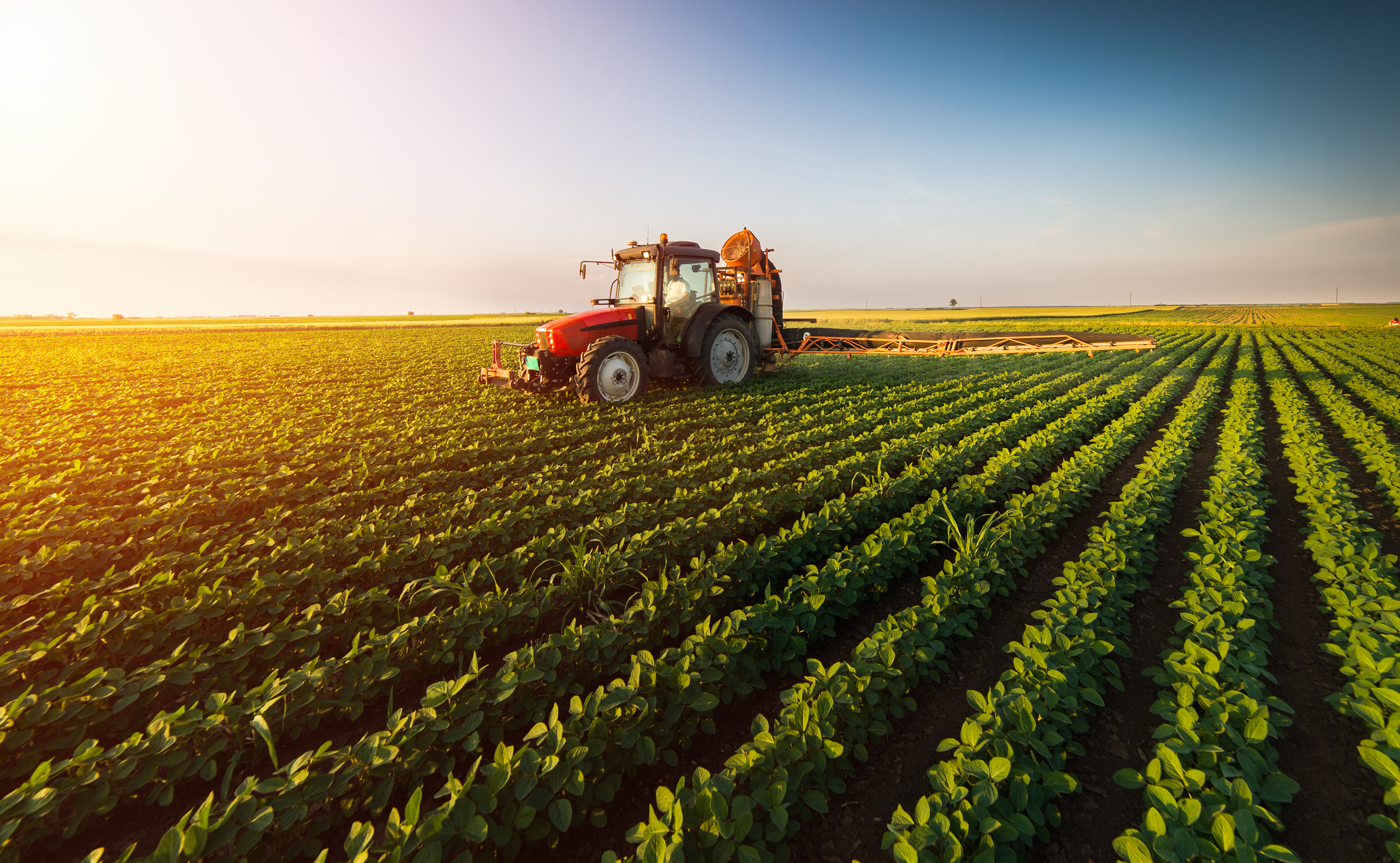 Agricultura Regenerativa