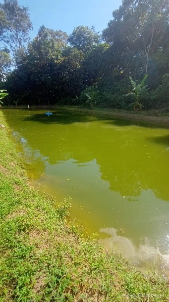 Agua y Ecosistemas Acuáticos